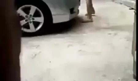 Sobrina a la videos erótico llegada mierda mierda