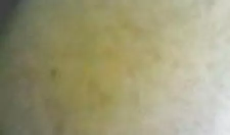Sin restricciones empecé a masturbarme peliculas de zoofilia y chupar en las manos de la masajista