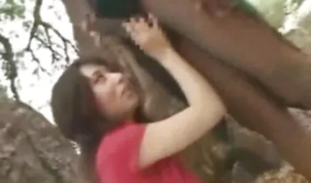 Verano obtiene med con tres Big Bob botín videos de sezo